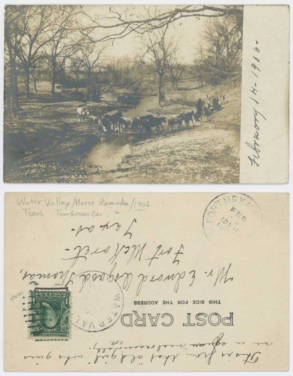 Livestock Crossing Small Stream — Water Valley