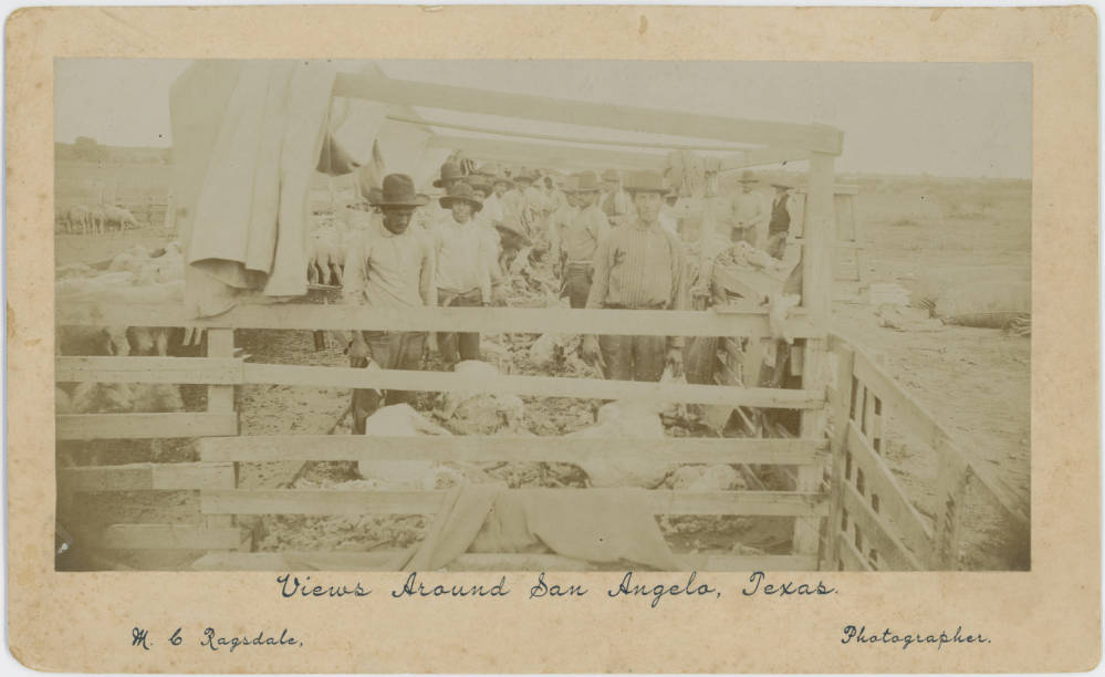 Men Standing in Sheepcote — San Angelo